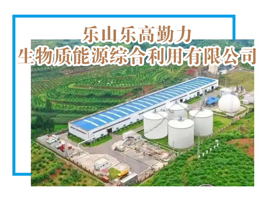 【理事单位】乐山乐高勤力生物质能源综合利用有限公司