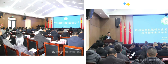 1766026222116563.png 36203a44069bb728b60120be988c5fd4.png